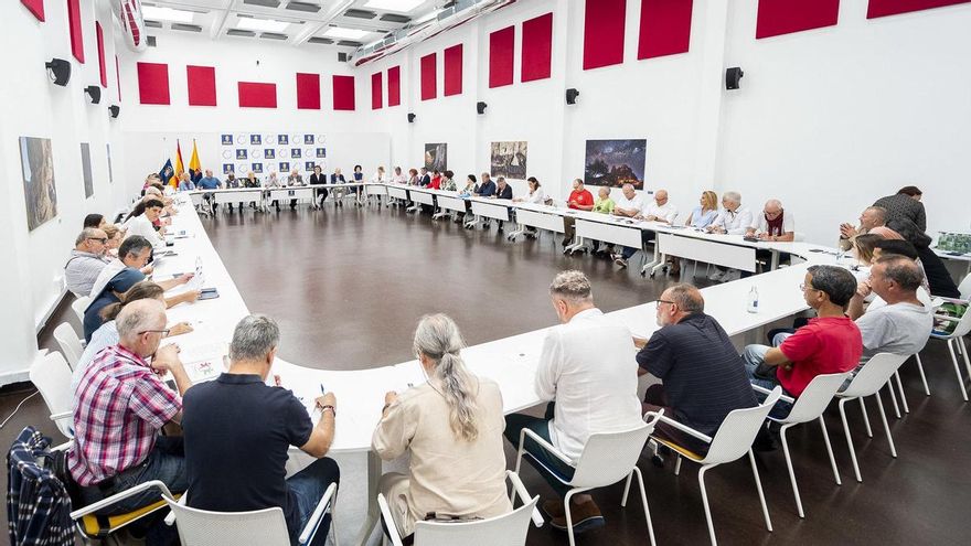 89% of the subsidies from the Cabildo de Gran Canaria are direct and triple those of Tenerife