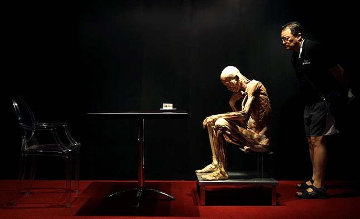 Un visitant observa un cadàver humà durant l’exposició ’The Body Show’, en què es mostra l’anatomia de cadàvers reals, a Bangkok (Tailàndia).