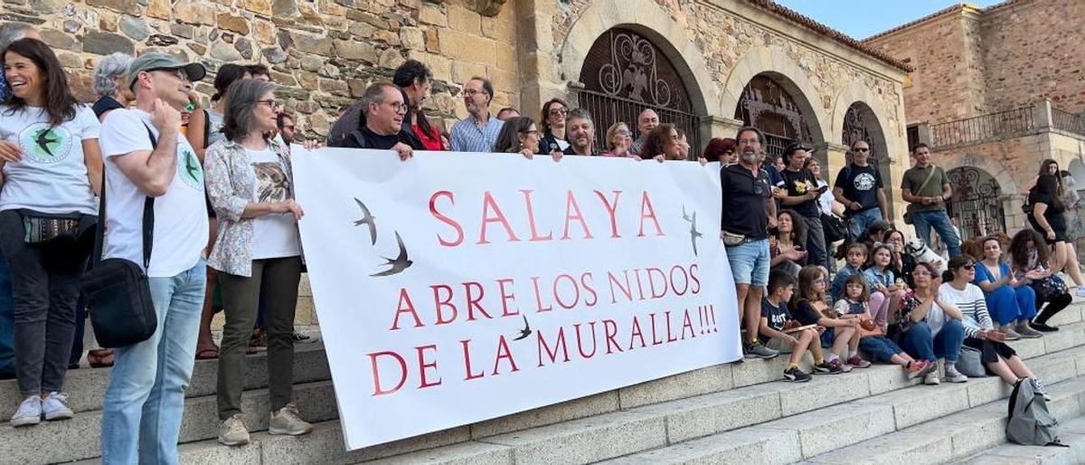 Manifestación en la Plaza Mayor contra el cierre de los nidos de vencejo por las obras en Bujaco.