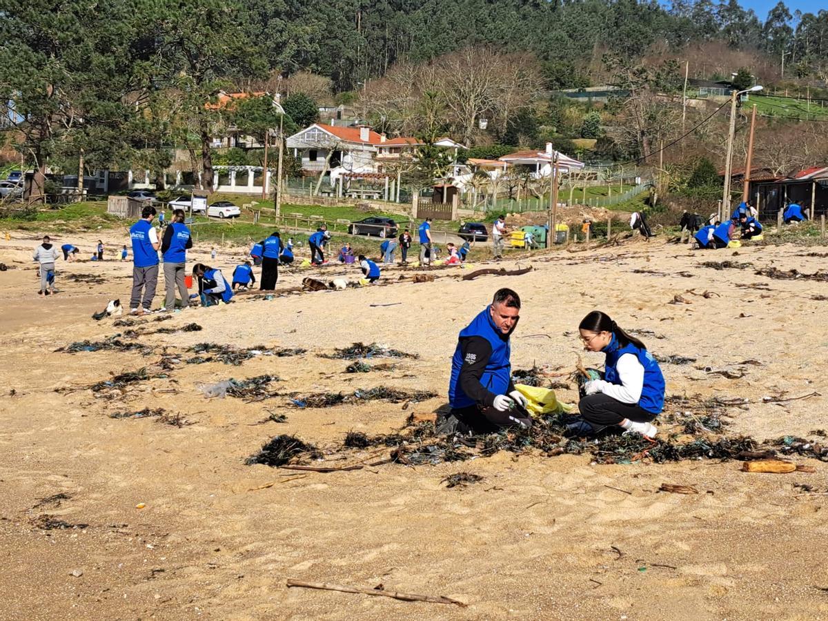 La limpieza de la playa de Area de Bon, en Bueu, en imágenes (II)