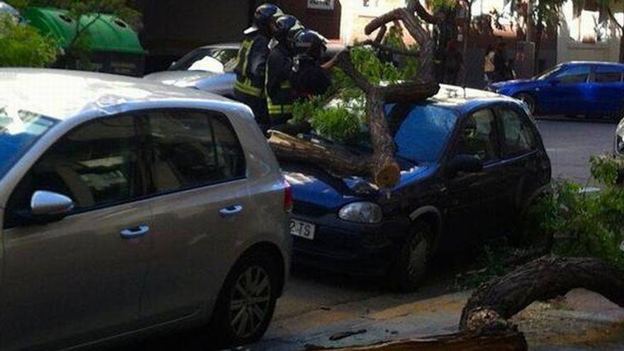 Los bomberos atienden 14 incidencias en Zaragoza por culpa del viento