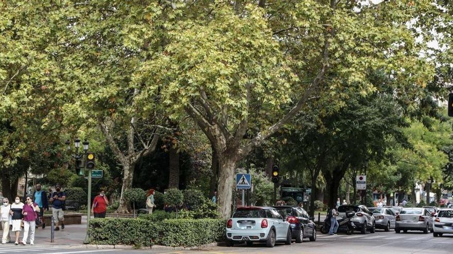 Tramo de la avenida de España, con el paseo de Cánovas y el parque de Gloria Fuertes, donde se intervendrá.