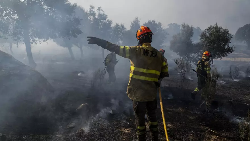 Vídeo | Así combatieron el incendio los efectivos del Infoex en Aldea del Cano, declarado de nivel 1 este viernes