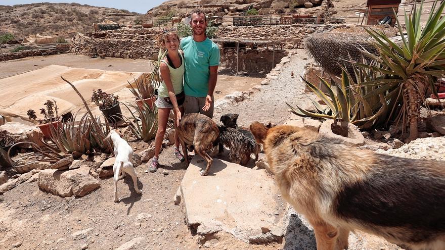 The sanctuary of abandoned animals