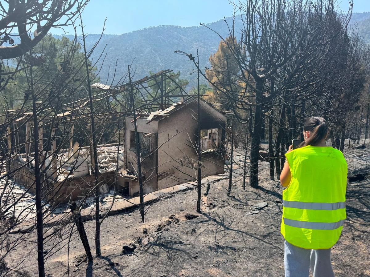 Incendio en el sur de Ávila calcinó dos campings; sus dueños reclaman ayuda institucional Incendio en el sur de Ávila calcinó dos campings; sus dueños reclaman ayuda institucional
