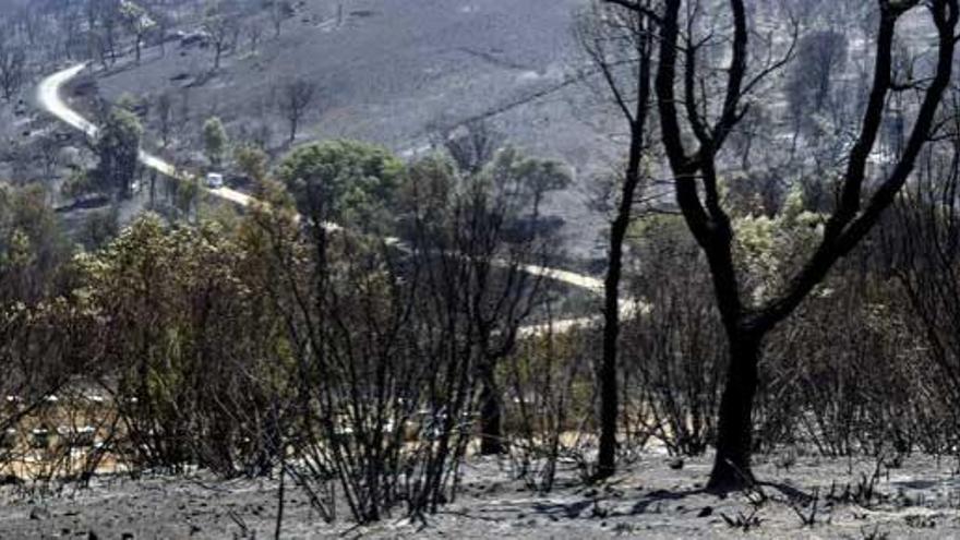 Monte quemado en Larouco, en la Ribeira Sacra. / B.L.