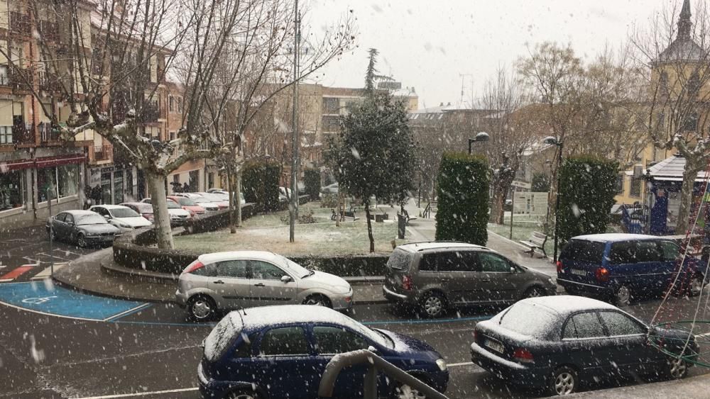 La nieve llega a Benavente