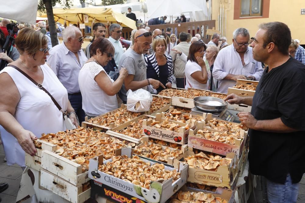 Fira del Bolet de Llagostera