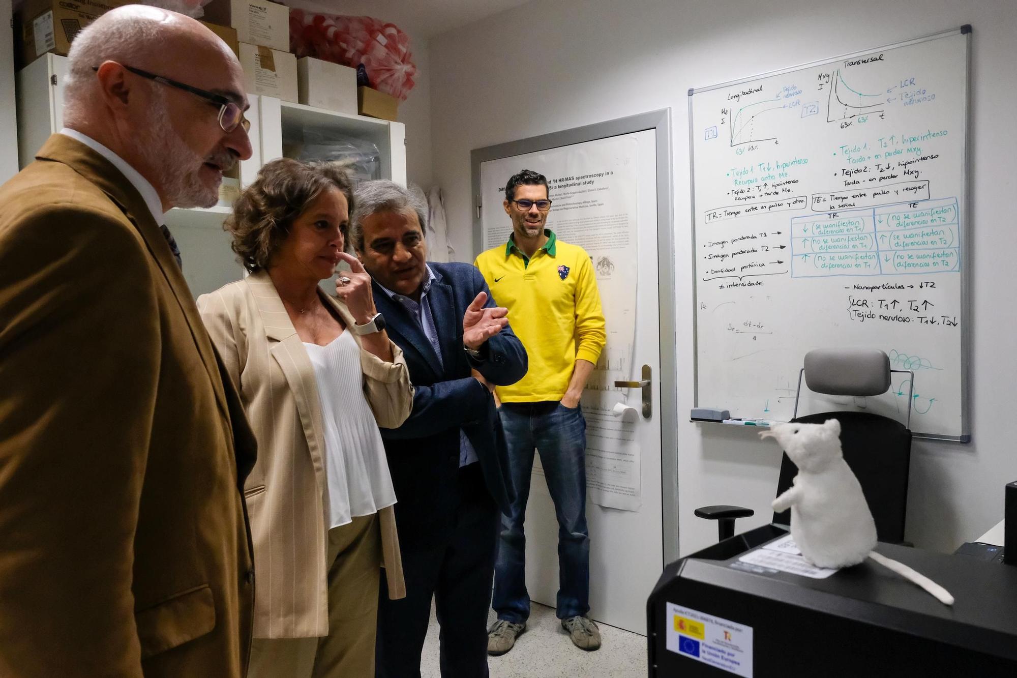 Inauguración del 'Matchmaking Innovación en Salud Smart Data y Paciente Crítico' en el Ibima