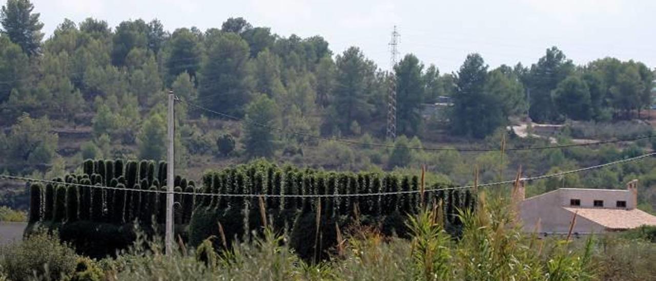 Uno de los tradicionales «paranys» en el interior de la provincia.