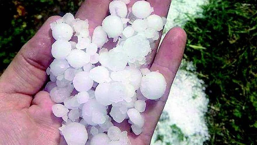 El granizo causa daños en más de 4.000 hectáreas de campo