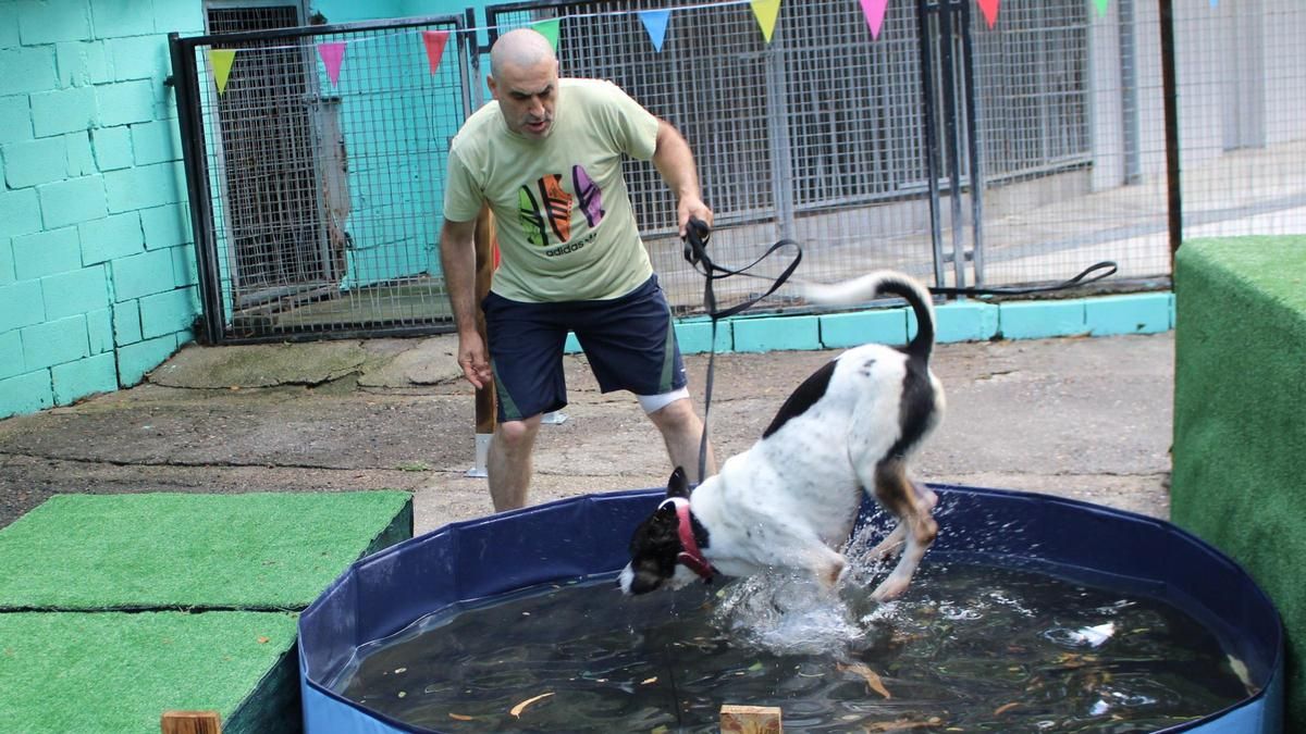 Arturo Suárez juega con el perro Chuso en una de las nuevas piscinas