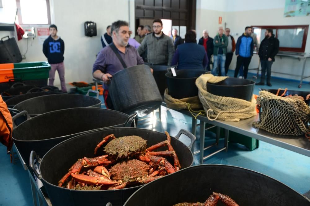 El temporal hace salir a la centolla