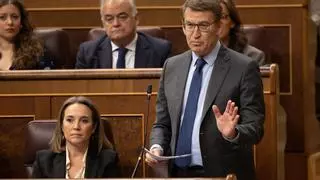 El PP usará el rechazo del Senado a la amnistía para argumentar el recurso ante el TC y Europa