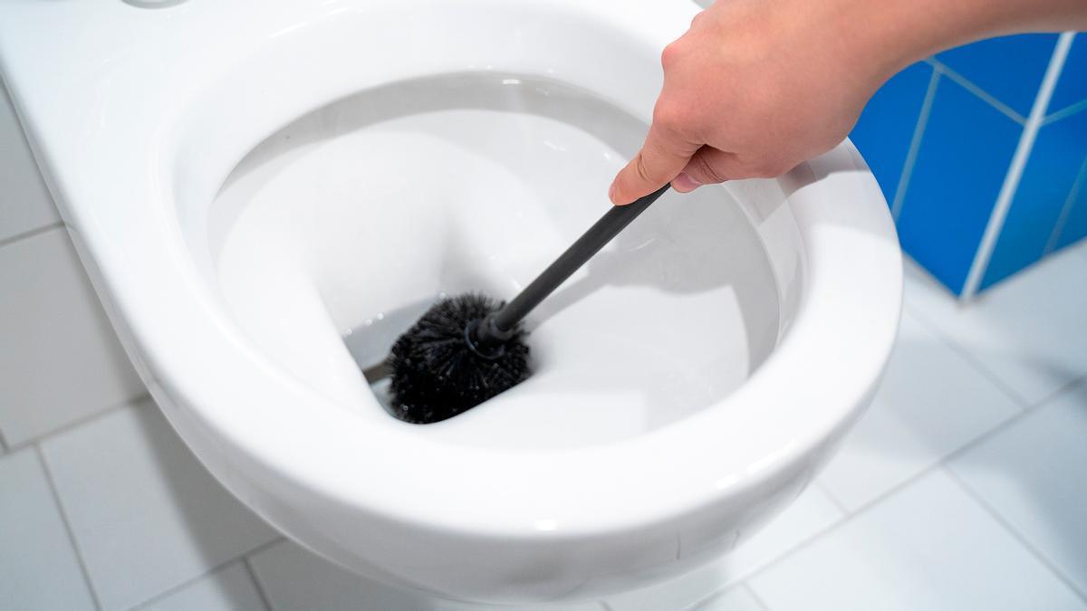 Los productos imprescindibles para la limpieza del hogar (incluida una escobilla recargable para el inodoro).