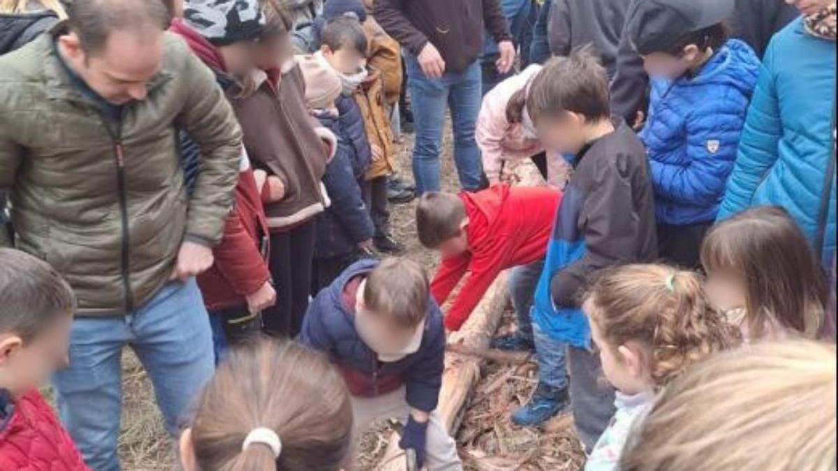 Numerosos niños han participado en la preparación del árbol.