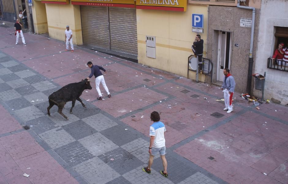 Becerrada, encierros y vaca de la sangría