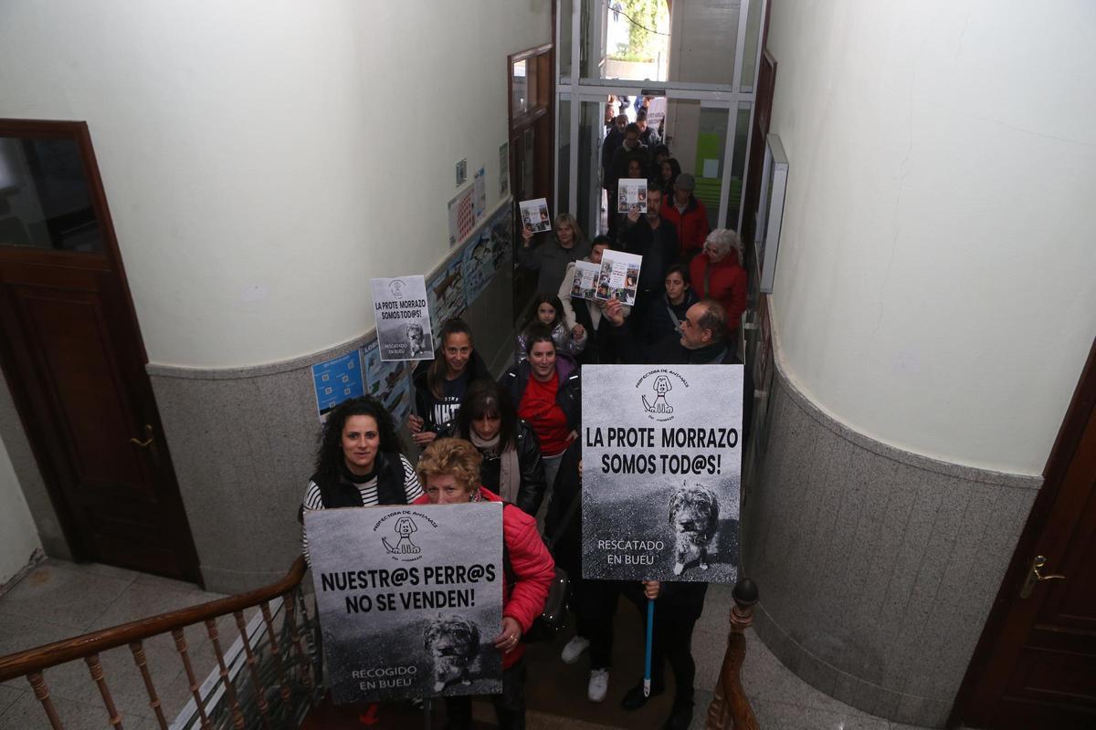 El nuevo convenio con la Protectora de Animais do Morrazo estuvo precedido de movilizaciones y polémica.