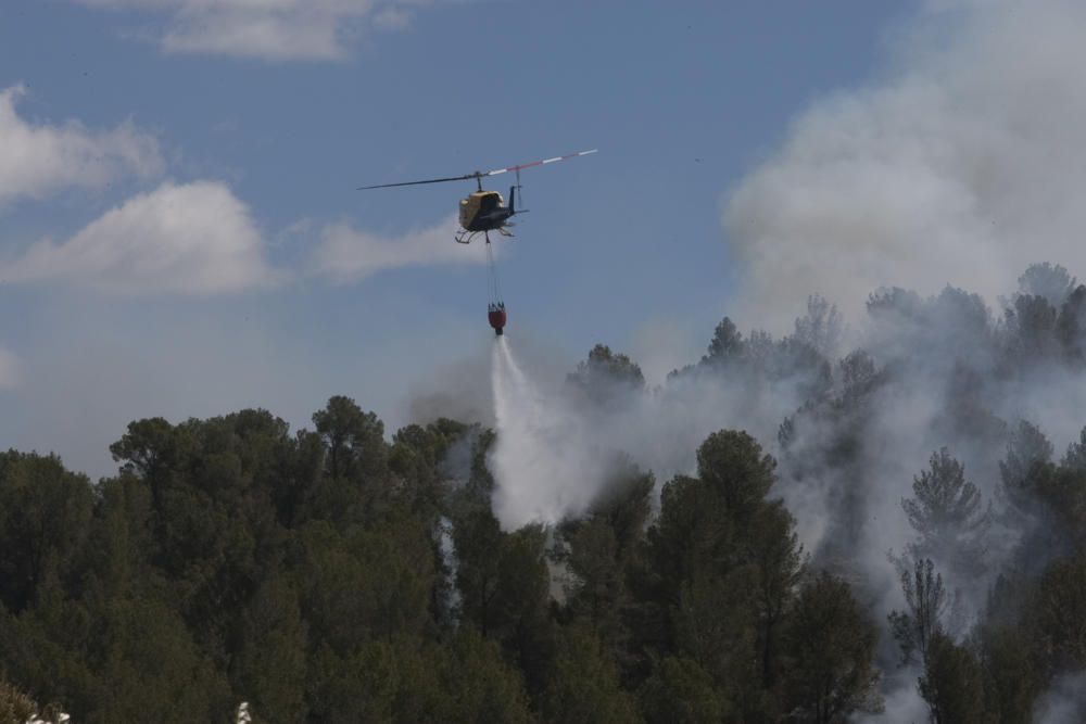 El fuego en los términos de Anna, Chella y Bolbait