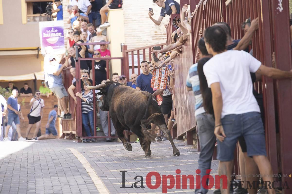 Tercer encierro de las Fiestas de Moratalla