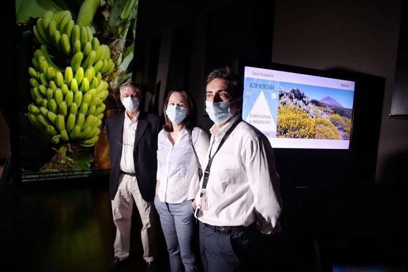 Reapertura del Museo de la Naturaleza y Arqueología | 13/05/2020  | 13/05/2020 | Fotógrafo: María Pisaca Gámez