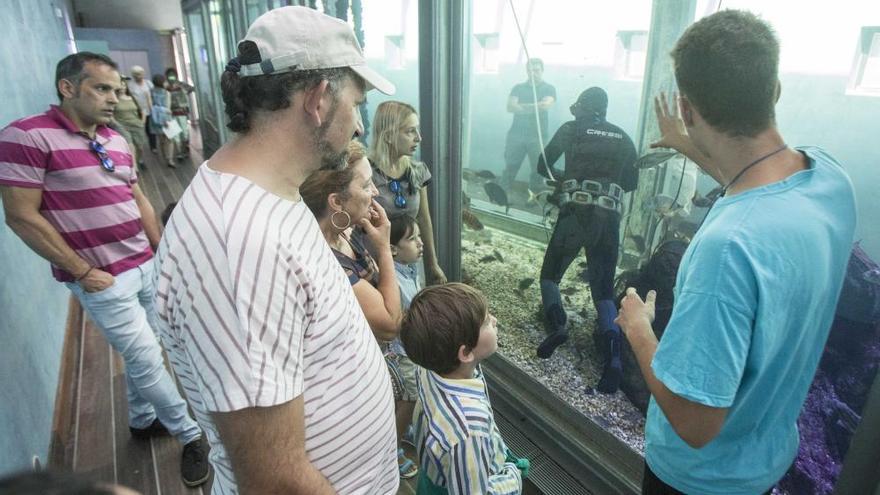 El acuario del Museo do Mar muestra a los visitantes cómo se alimenta a los peces.