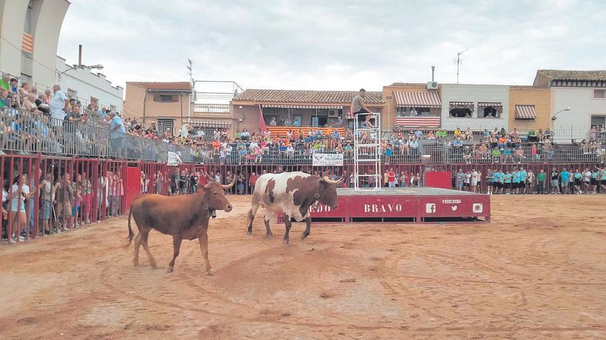 Los costes frenan al sector taurino, pese a subir los festejos en Aragón