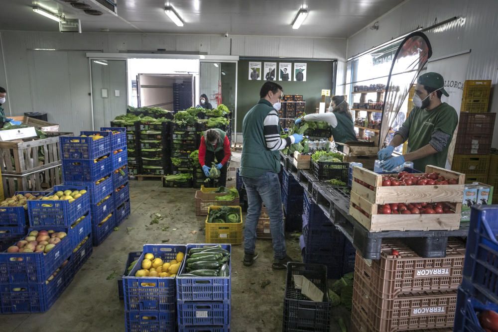 Coronavirus en Mallorca: El campo mallorquín se convierte en la respuesta al confinamiento