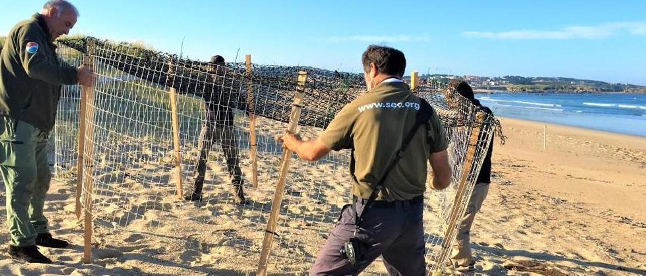 Imagen de archivo de la colocación por parte de SEO y la Xunta de un jaulón de protección en un nido aparecido en A Lanzada.