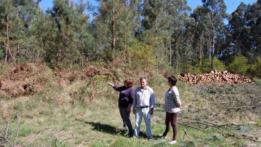Unos comuneros de Cabeiro señalan el túmulo cubierto de vegetación, en el entorno de la tala.  // Faro