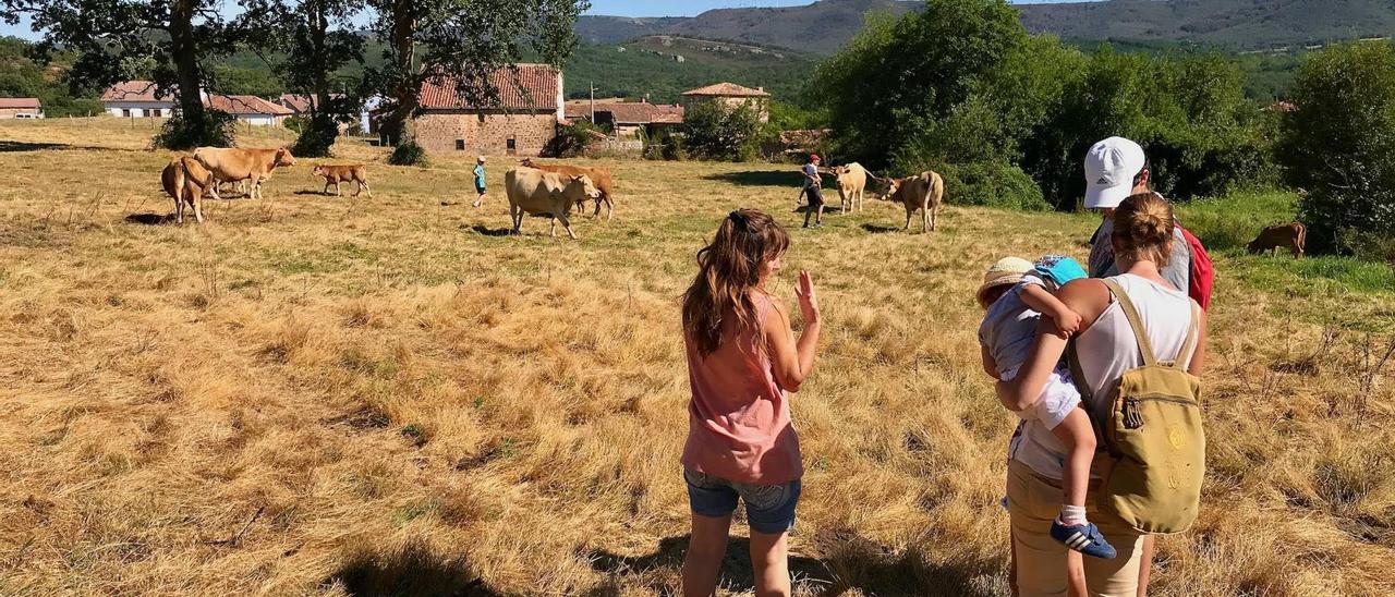 Beatriz Argüeso (izquierda), es ganadera en la finca Casa La Pastiza. (Valderredible-Cantabria)