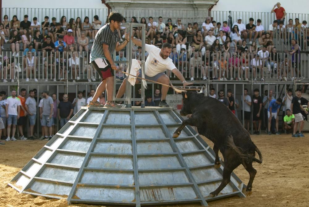 Arrancan los actos taurinos en Canet d&#039;En Berenguer