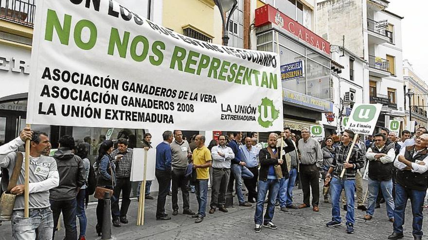 Los ganaderos extremeños protestan contra la tuberculosis que afecta a mil explotaciones