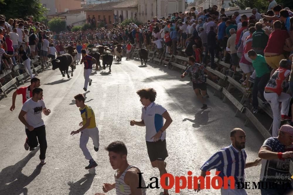 Segundo encierro de Calasparra