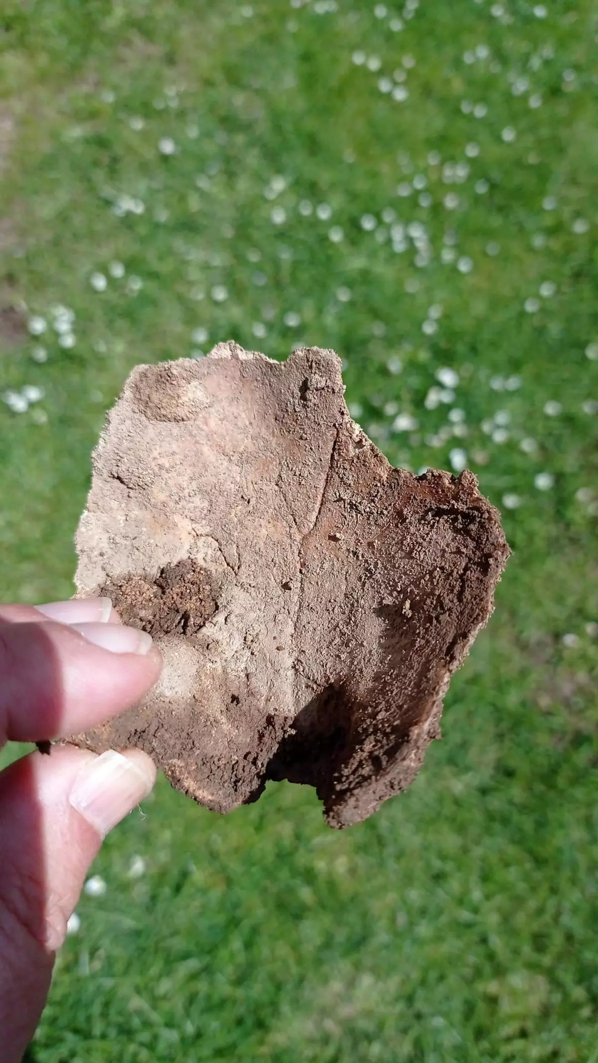 Obras de eliminación de humedad en la iglesia de Dexo descubren restos óseos humanos