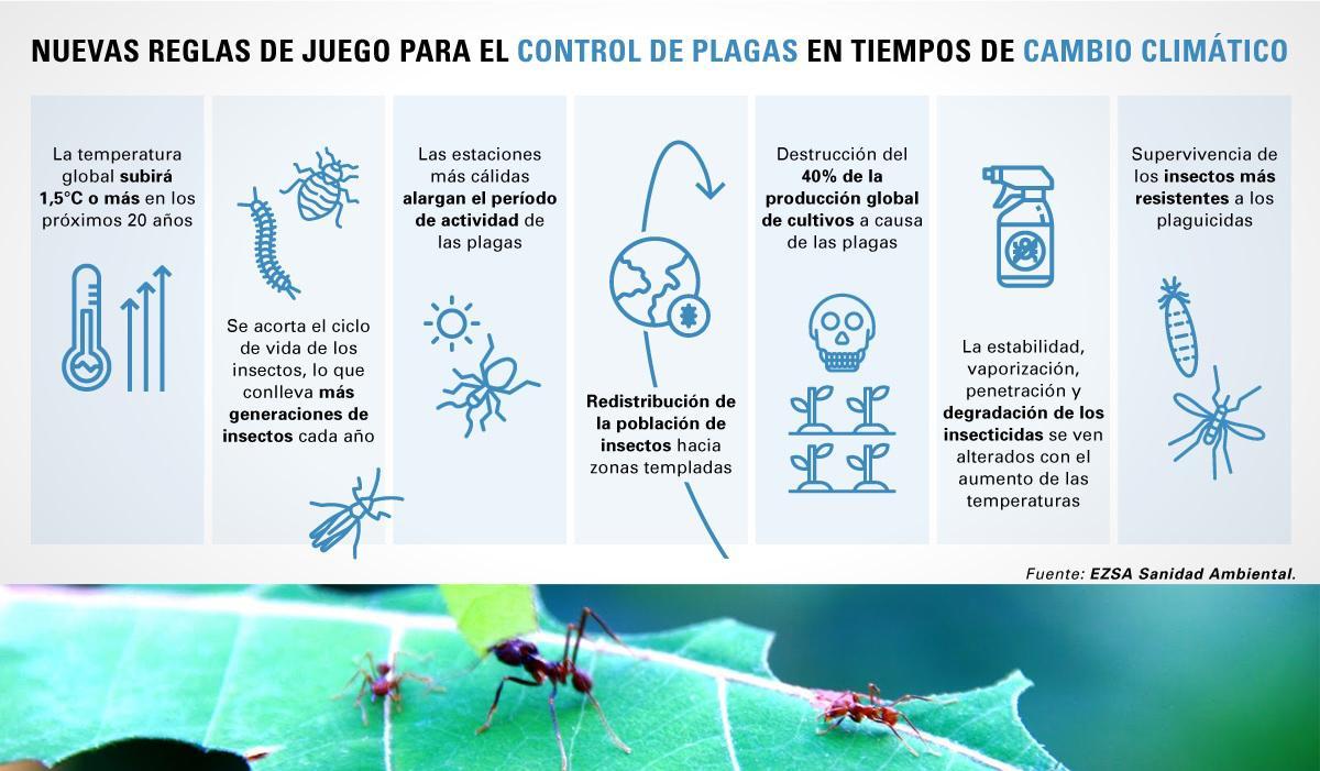 El calentamiento dispara las plagas: los insectos se reproducen más