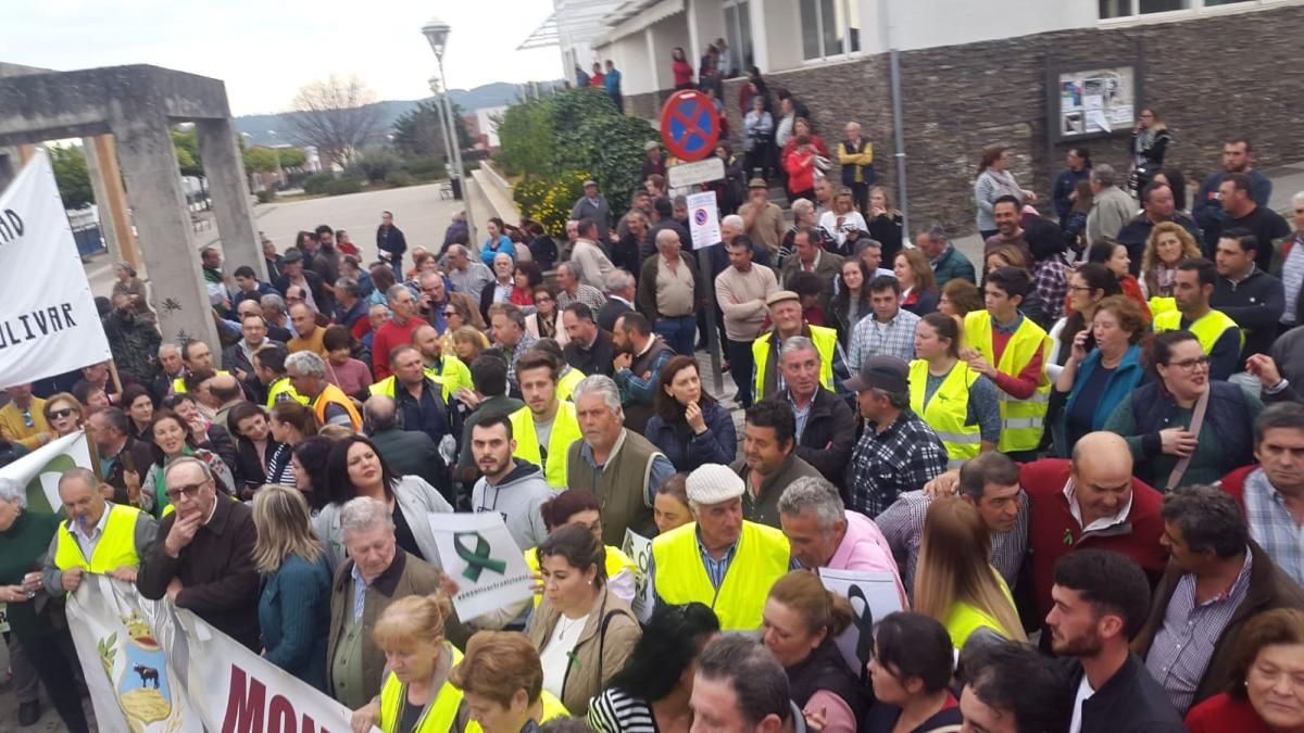 Miles de personas se manifiestan en defensa de la agricultura en Adamuz