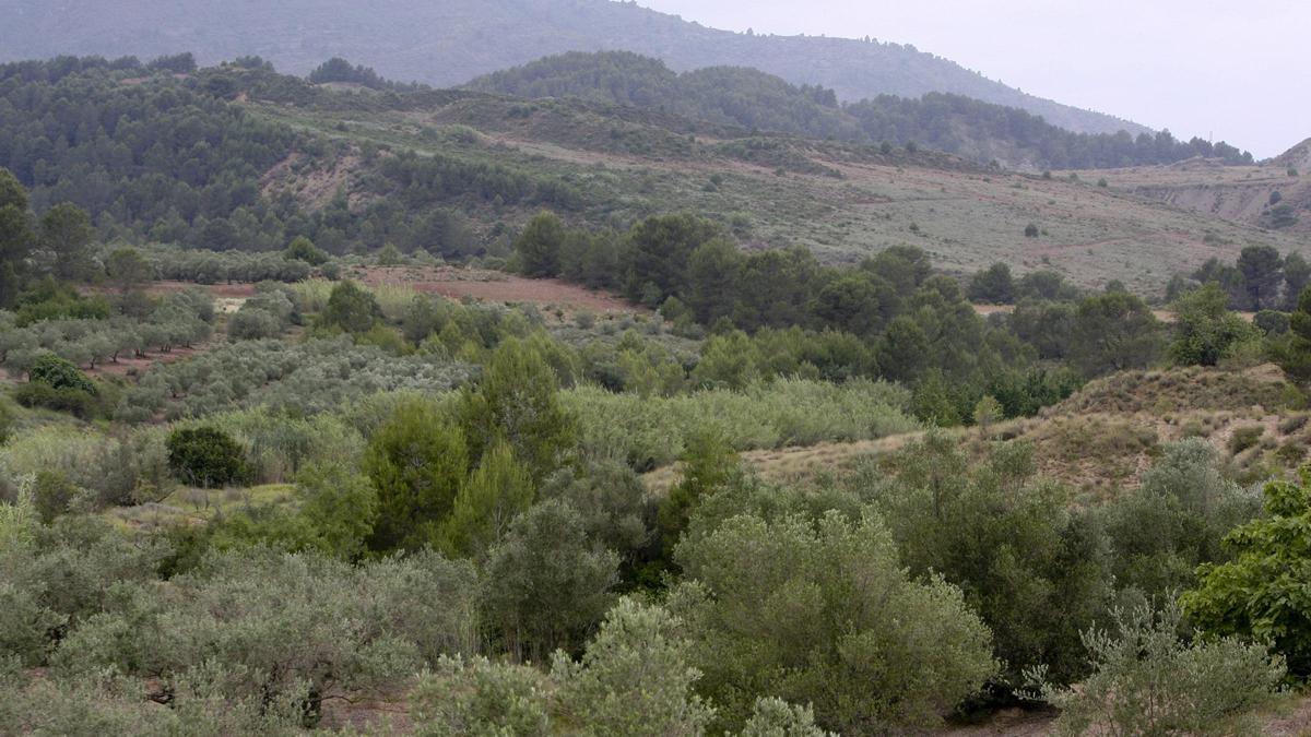 Terrenos donde se proyectó el vertedero de Llanera.
