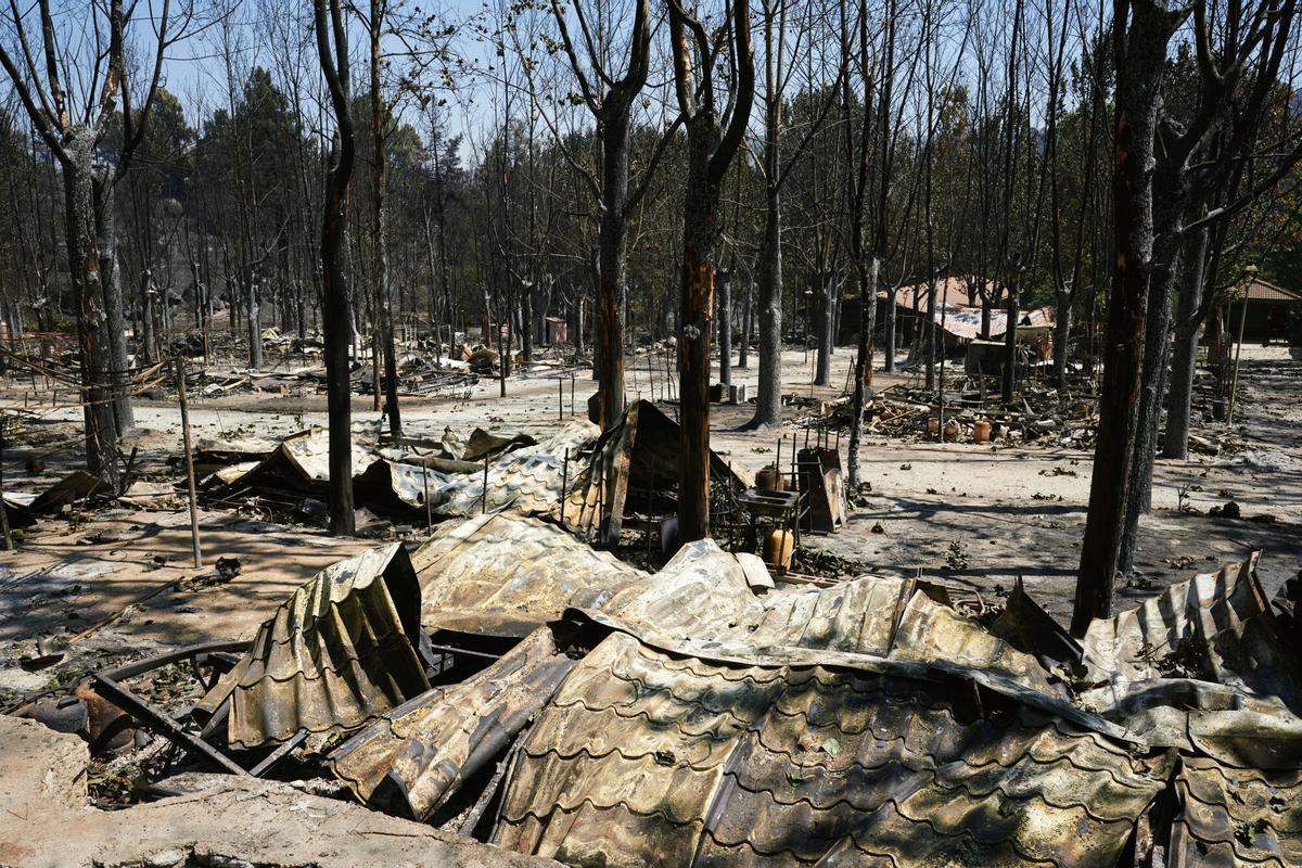 Paisaje quemado en el parque natural del Valle de Iruelas en Burgohondo (Ávila), donde se han quemado unas 45.000 hectáreas.
