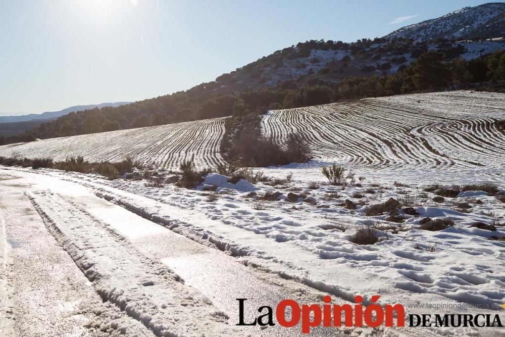 Nieve en Revolcadores