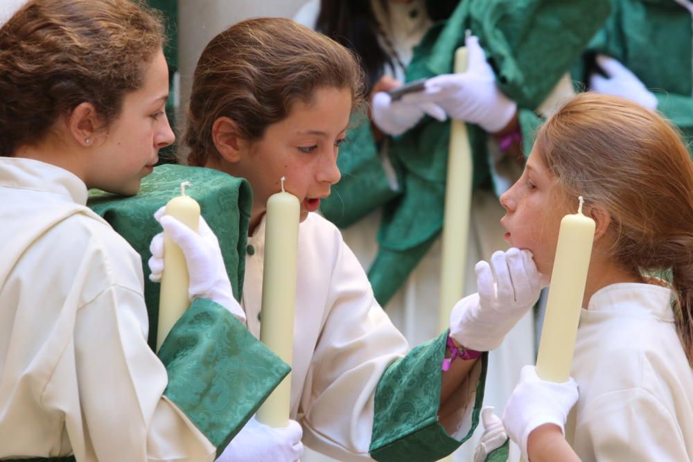 Domingo de Ramos | Pollinica