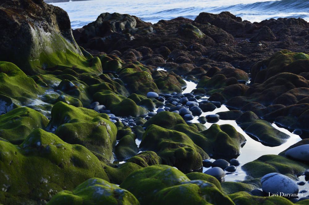 I Concurso de Fotos Volcánicas de Canarias