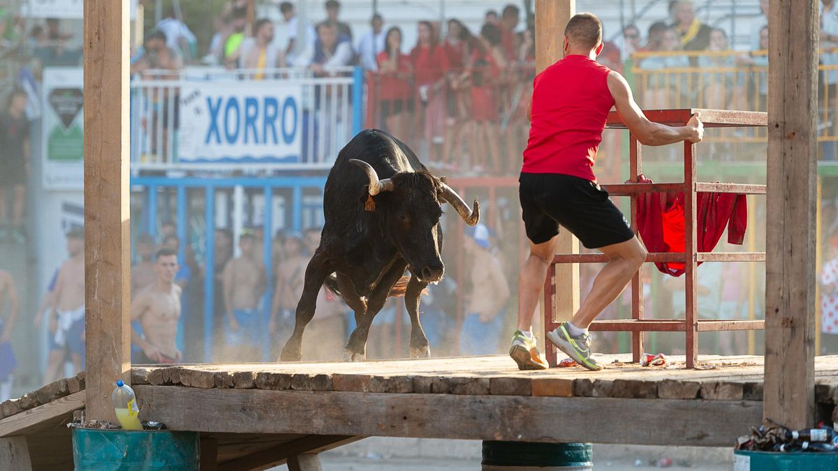 Los animales de Laura Parejo la han puesto en cabeza de la clasificación provisional en la Vall.