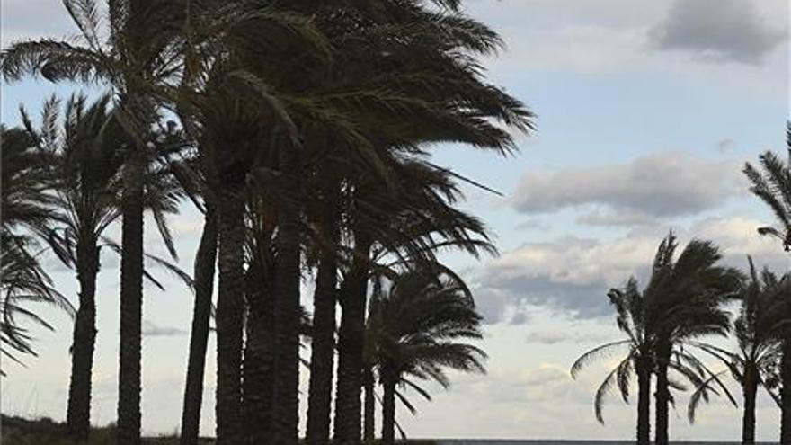 El viento, protagonista este miércoles en Castellón