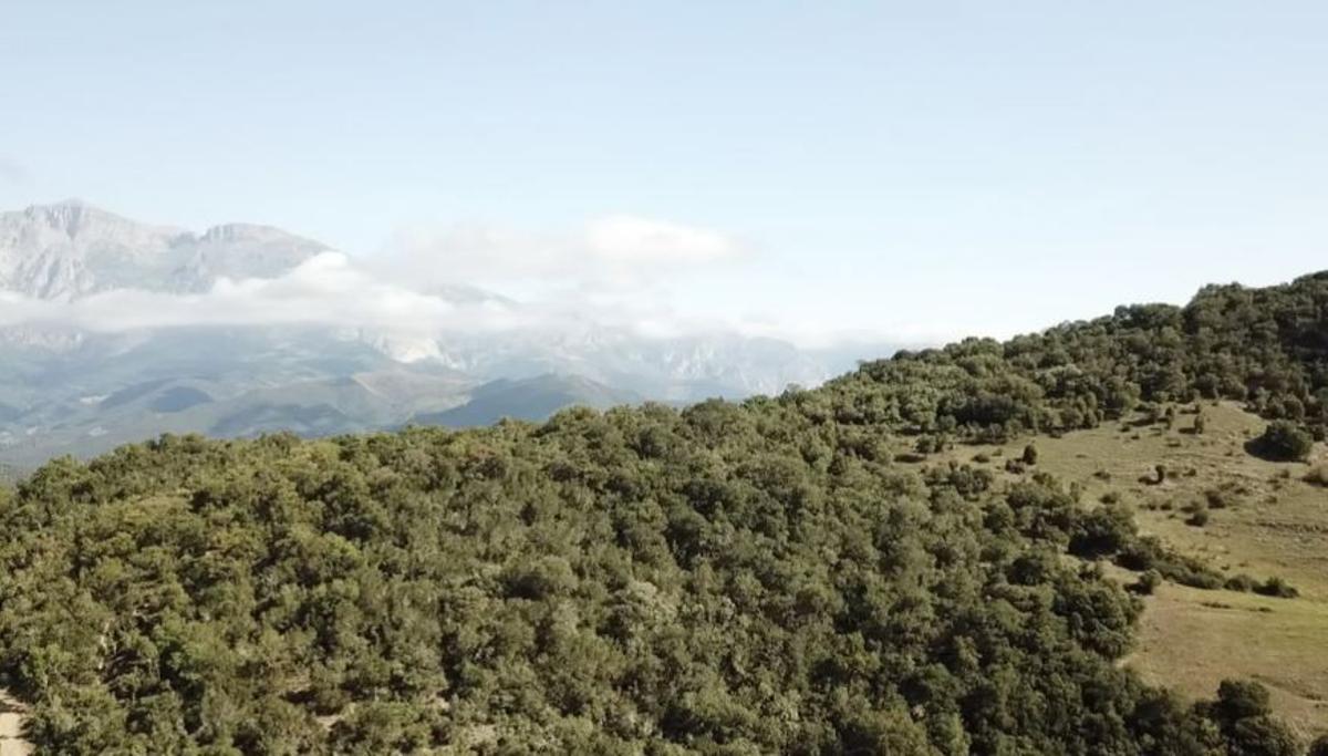 Vista del Valle de Liébana donde se encuentra la aldea abandonada.