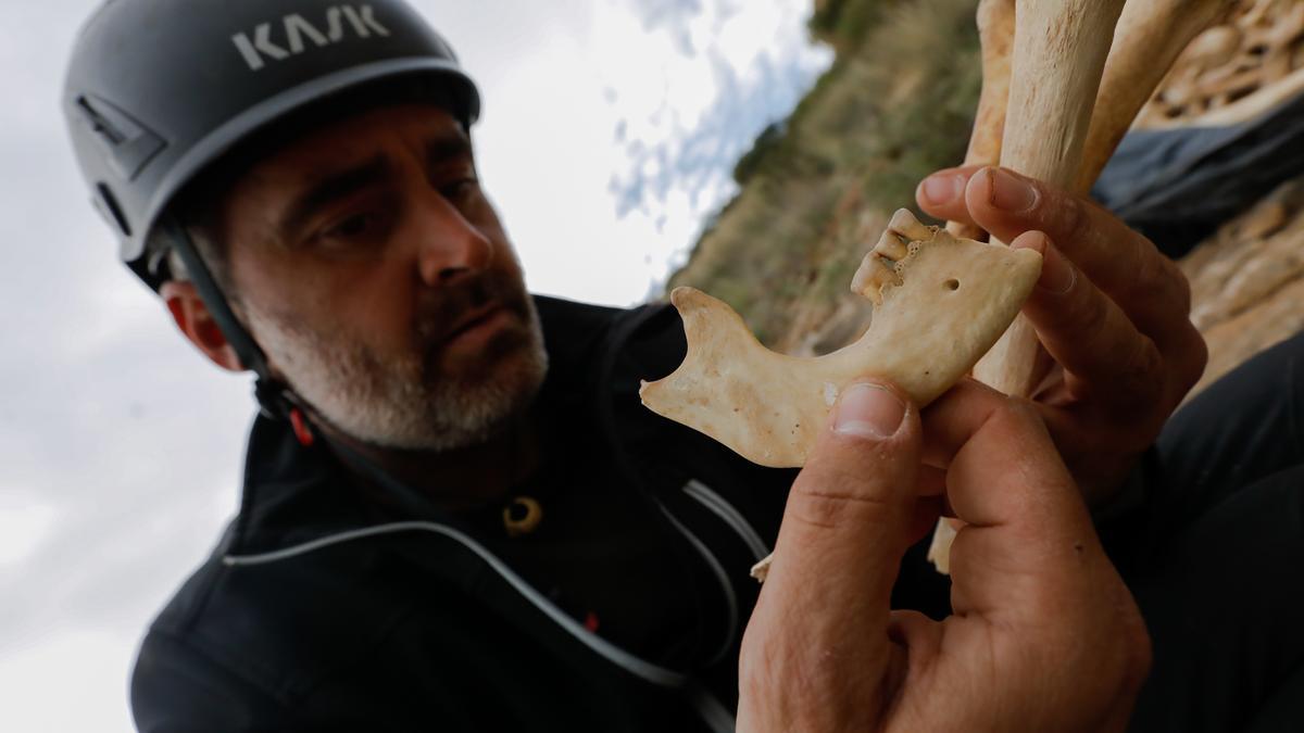 Uno de los excavadores sujeta restos óseos del yacimiento de Santomera.