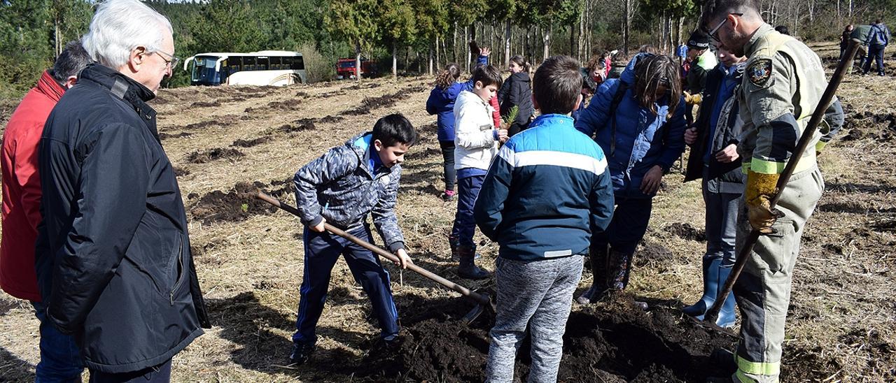 Imagen de archivo de una actividad en el Día Mundial Forestal, con los colegios de Baño y Cordeiro, en los montes de San Miguel.