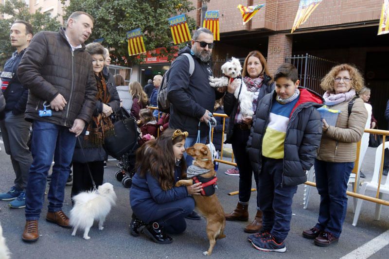 Fiesta de Sant Antoni en la ciudad de València