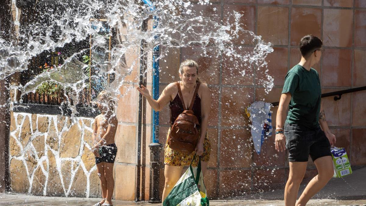 Un instante de las fiestas del Raval Roig, celebradas recientemente