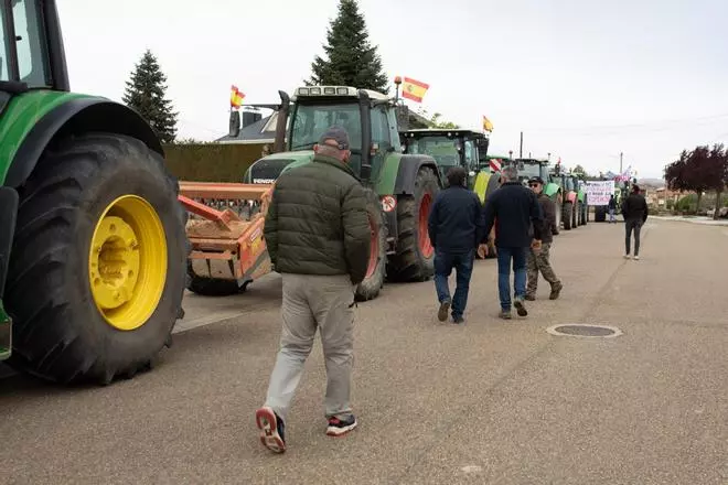 El campo zamorano vuelve a la carga contra la fauna y las renovables: "Basta ya, es una autentica salvajada"